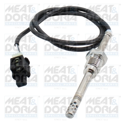 Sensor, exhaust gas temperature